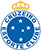 Cruzeiro Esporte Clube